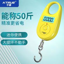 钥匙扣电子秤精准0.1克手提电子秤称克钓鱼卖菜称迷你家用秤超小