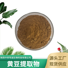 黄豆提取物  水溶性黄豆粉 黄豆浸膏粉 黄豆喷干粉 现货供应