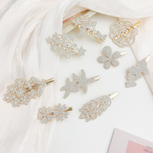 2024�¿���|�l�AŮ �n���������䄢���A���ق�߅��l����A�l�