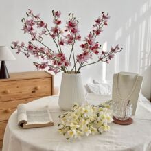 �羳��Ʒ�����f���m���滨�ָмٻ�3��С�n�m�����m�Ҿӻ�c�b�