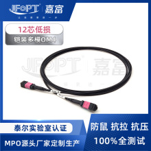 �z�b���w����MPO-MPO OM4��ģ12о�m���40G/100G/200G��ݔ�W�j