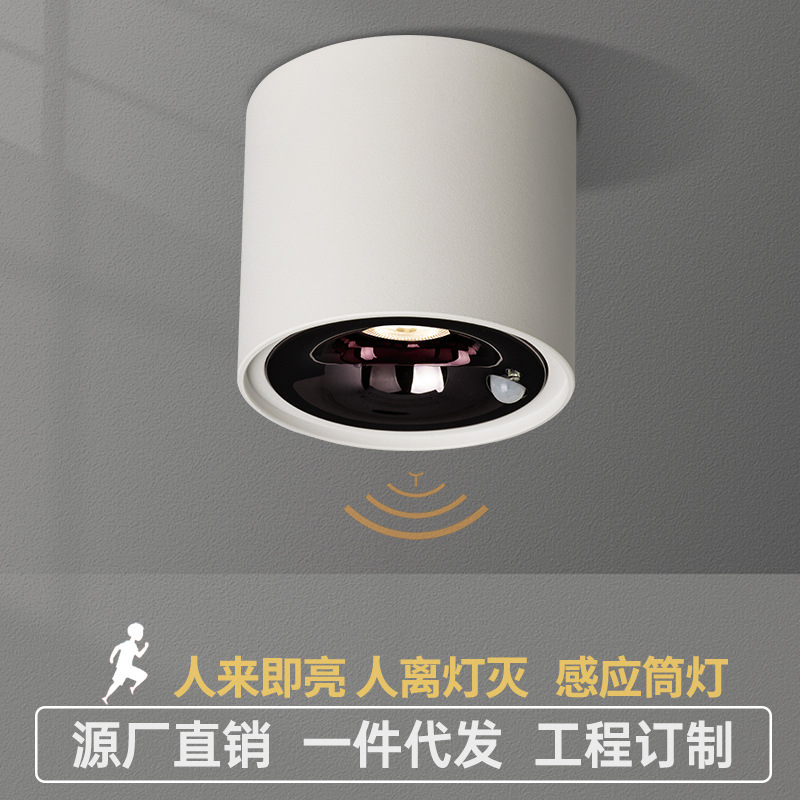 Surface mounted downlights circular household Open hole balcony Ceiling Ceiling Corridor Aisle Induction led Spotlight