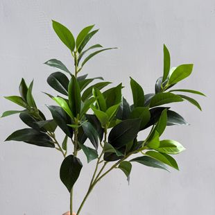 ���晎���~ ���~ ���¹��~ ����~ �ָ��~��ֲ���쾰���bҾ�