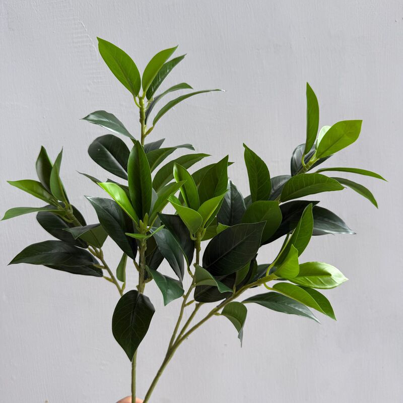 仿真柠檬叶 桔叶 桂花月桂叶 茶树叶 手感叶子植物造景树装饰家居|undefined