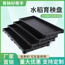 厂家销售园艺农田塑料 水稻育秧盘 插秧机硬盘育秧硬盘 机插硬盘