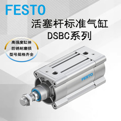 FESTOフィストシリンダdsb c100シリーズ80/100/125/160/200/250/320-PPSA-N3