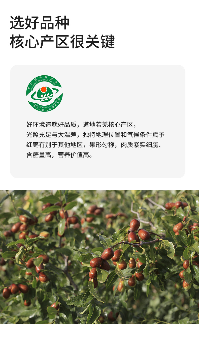 Dried Red Date Slices Hong Zao Pitted Jujube Chips for Tea and Snacking 200g Jar quality and texture