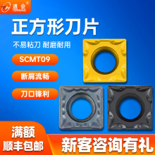 صƬSCMT09T3ƬAȿ܇܇ӹP䓼X