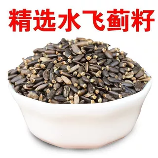水飞蓟中材新货无硫水飞蓟籽水飞蓟子水飞蓟果水飞雉奶蓟草籽