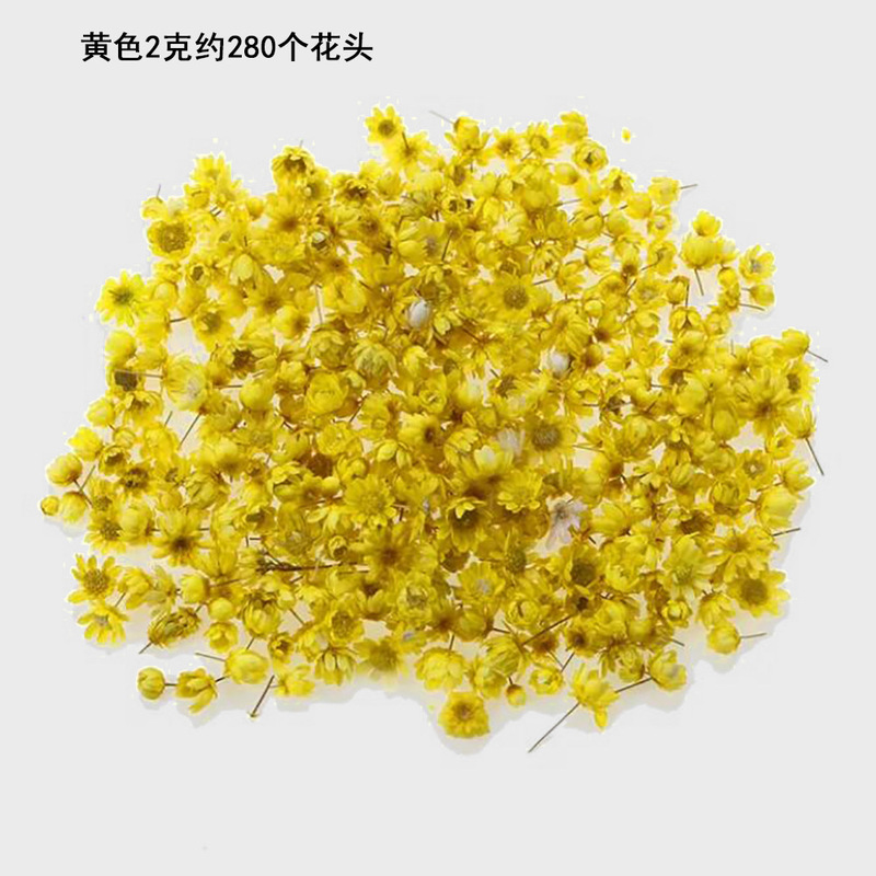 小さな星の花の頭diyのドリップの水晶のボールは装飾のアクセサリのネイルの材料のカラーの手作りの本当の花のドライフラワーを埋めます。|undefined