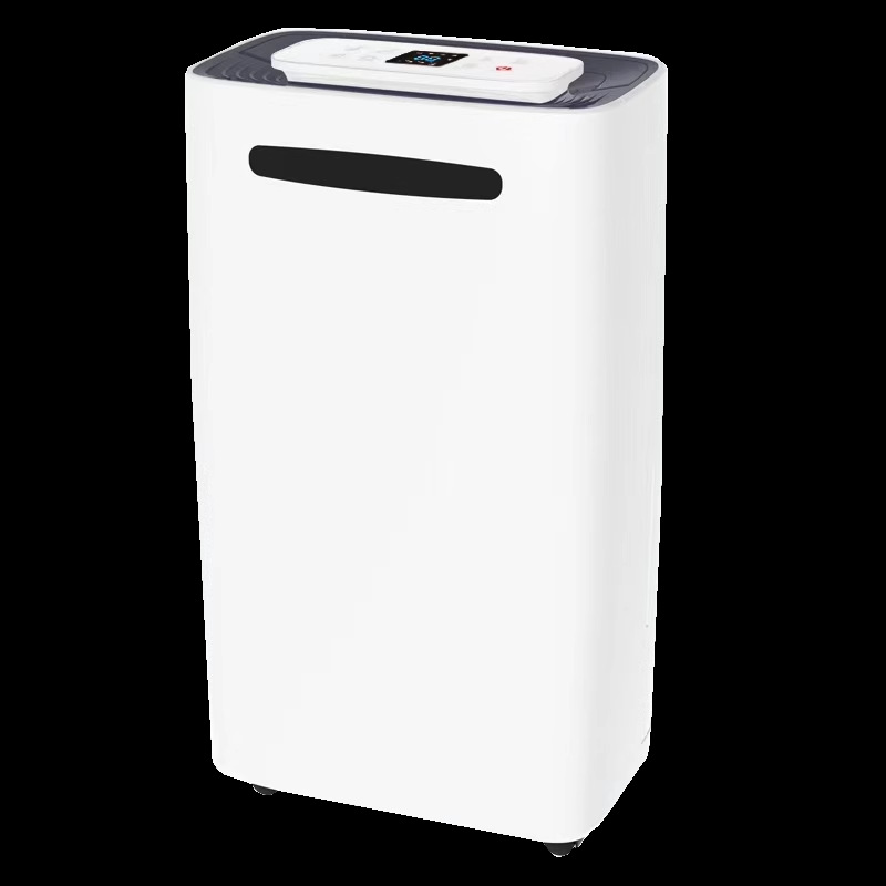 1ɭ�����ڳ�ʪ�����õ����ҳ�ʪ�����Ҿ������»�����������ʪ��