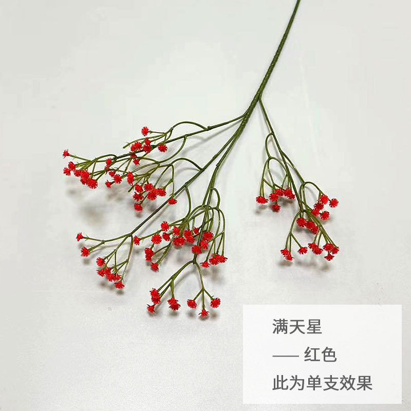 레드