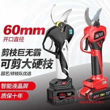 ��ɭ;늄���֦������֦�޼��o��������늳س��ʽ�@�ִ�֦��