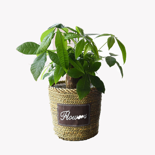 Nordic straw flower pots, rattan flower pots, extra large flower baskets, pothos rattan creative woven bamboo flower pots
