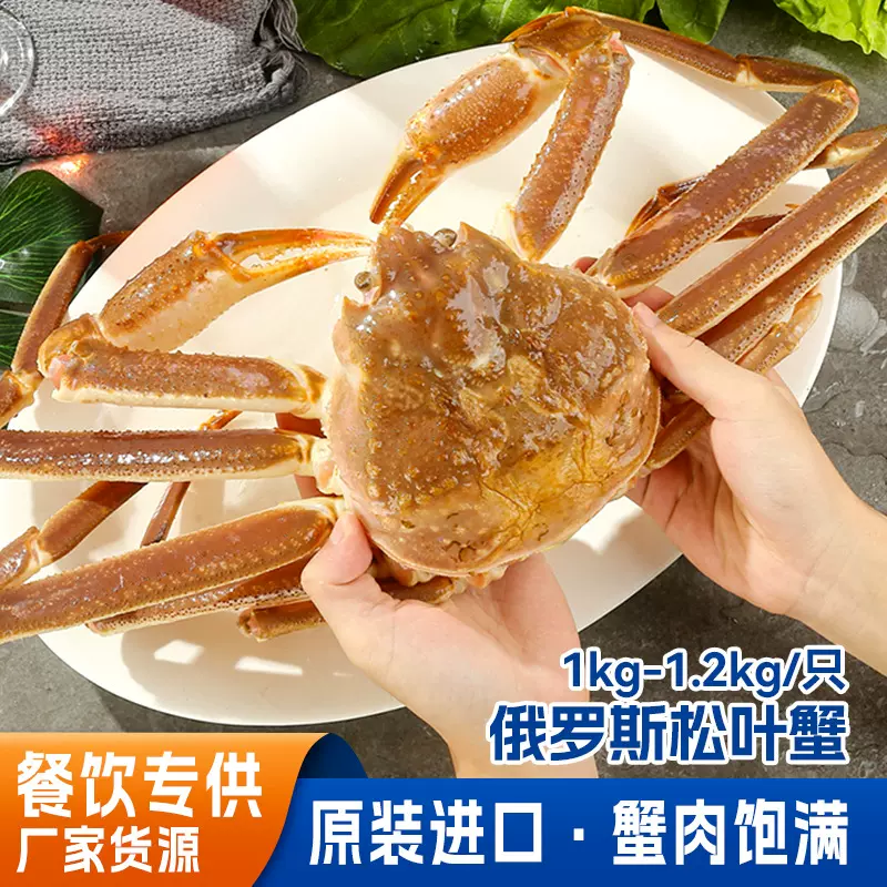 俄罗斯松叶蟹鲜活速冻鳕蟹海鲜水产北太平洋雪蟹长脚蟹大螃蟹