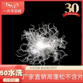 羽毛、羽绒;其他枕芯;羽绒被