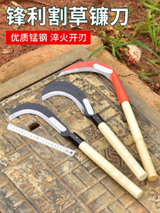 �����r�ó����M���i�砵���ݵ��r�������ո����L����砵�