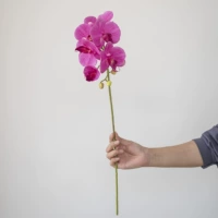 6 -Глубого фиолетового цвета