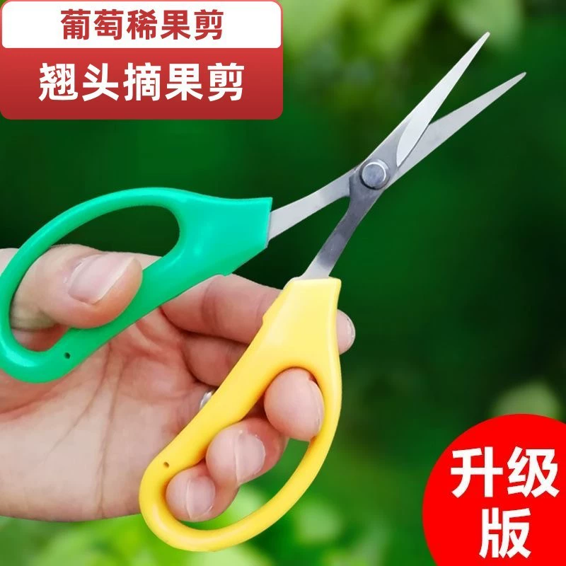 Секаторы для локтей, ножницы для сбора винограда, секаторы из нержавеющей стали, садовые ножницы для овощей и фруктов.
