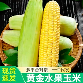 块茎类;其他水果;苹果