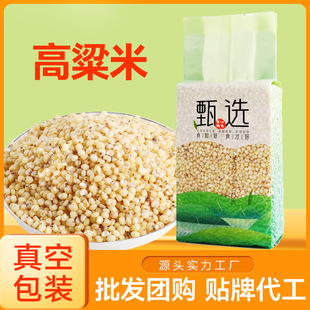 �����S���t������500g��հ��bÓ������������s�Z�����N�ƴ��ӹ�