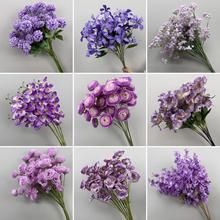 cɫϵ滨ĵֻĻYõbٻ·廨