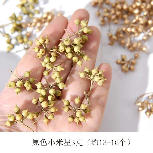 3 grams of primary Xiaomi Star