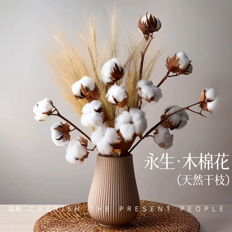 Хлопковая ветвь натурального сушеных цветов букет гостиной с натуральным капок домашний декор Синьцзян реквизит цветочная композиция гостиная