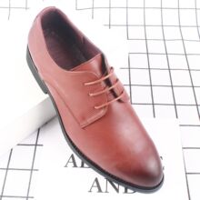 ƤЬ���¿��̄����b���e�ļ�͸����ʿӢ���n����^���ɽY��Ь022