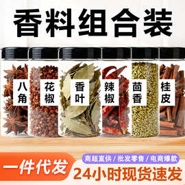 大料香料八角桂皮香叶组合装家用花椒辣椒茴香炖肉料商用调料大全