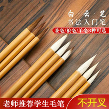 初学者毛笔狼毫兼毫白云学生毛笔书法国画羊毫大中小楷初学者套装