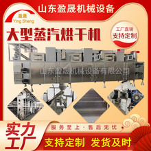 盈晟大型鱼饲料烘干设备 燃油燃气饲料烘干机 鱼饲料颗粒膨化机