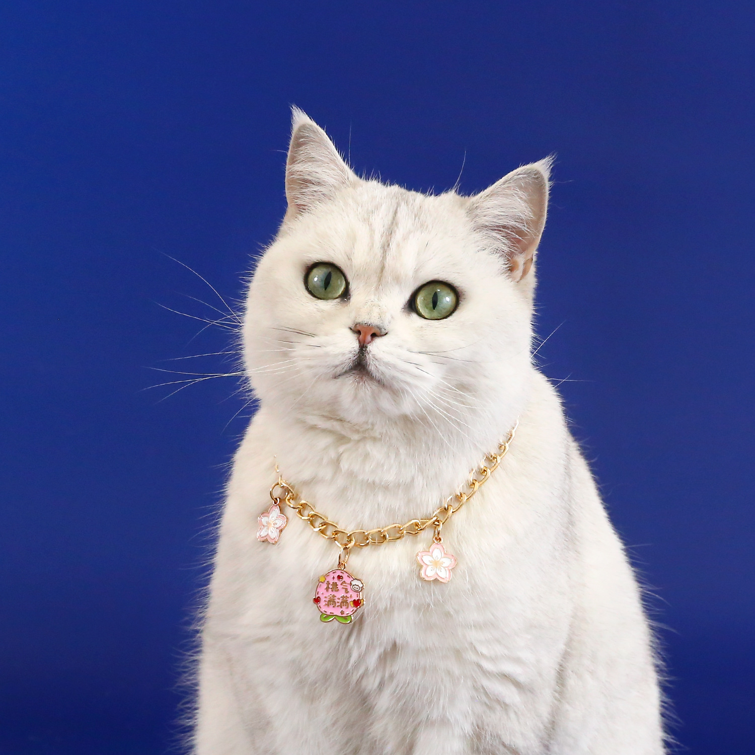 Mascotas gatos perros perros fu marca colgante de metal fresas flores de melocotón naranja gran arco