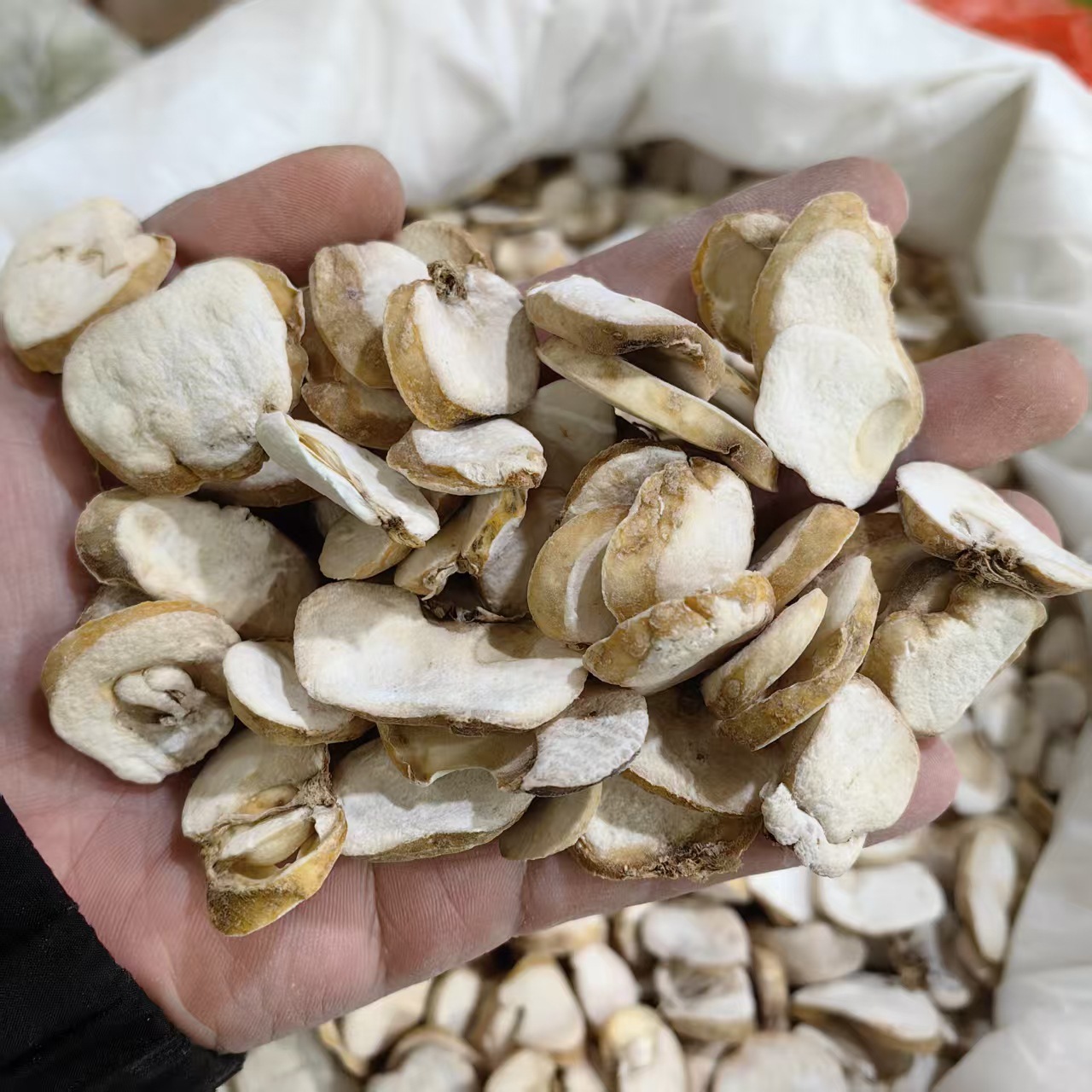 Zhejiang Fritillaria Bulb Powder Zhe Bei Mu 500g Traditional Herbal Ingredient key features
