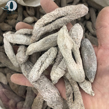 ӡ���х�����ȥ����х���ɵعυ����Ƥ���l����75�^��؛���l