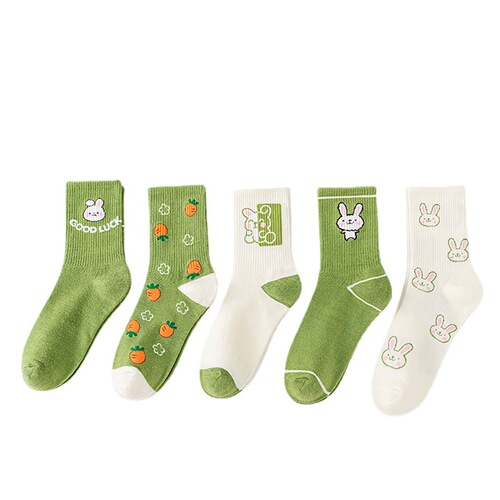 Cartoon Zhuji Ins Student Basketball Mid-Calf Socks Spring and Autumn Season Cross-Border Trade Cotton Socks Wholesale Knee-High Socks Women's Socks