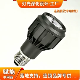 射灯;PAR灯;LED轨道灯