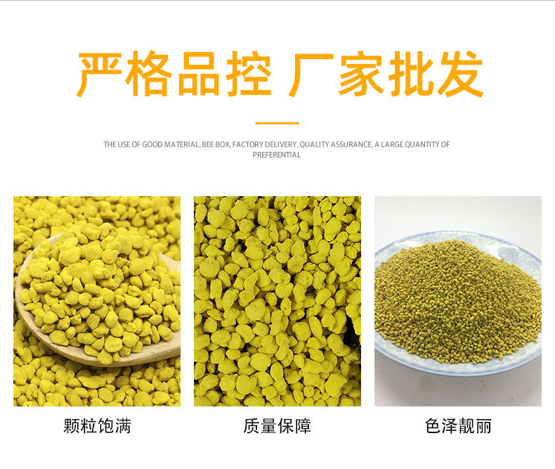 Rapeseed Bee Pollen (Brassica napus) — Qinghai Large-Granule Edible Pollen, 500g Bulk key features