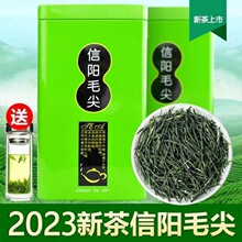 2023新茶信阳毛尖散装毛尖绿茶实惠小包优质雨前春季罐装组合茶叶