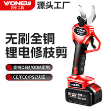 �fţ����֦���ֳ�ʽ늄ӈ@�ֈ@ˇ�����ʽ��֦�������S�����l