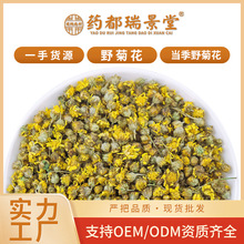 厂家批发野菊花 安徽黄山野菊花菊花茶 新货散装500g茶叶 养生茶