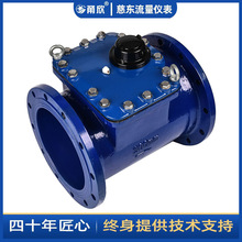 DN600ˮƽɲʽˮ ɎlӍ