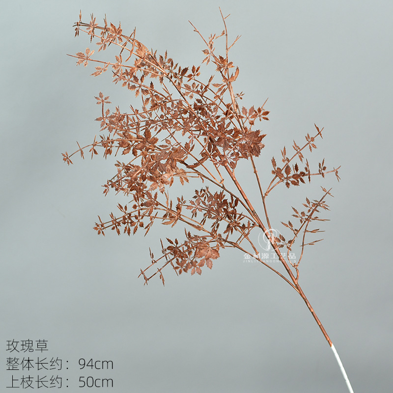 玫瑰草 咖色