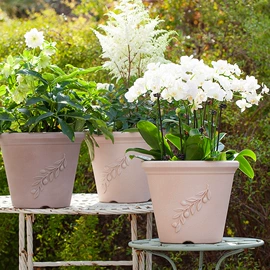 花盆容器;栽培基质;花盆装饰