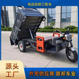 电动三轮车;电动代步车