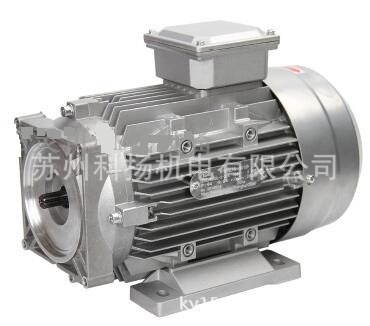 HYDRAULIC MOTOR 液压油泵电机2.2KW 马达 YS90L-2-22A 380V