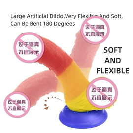 仿真阳具;其他男用;其他女用