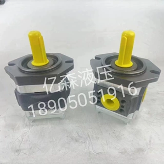 德国ECKERLE艾可勒高压齿轮泵EIPH2-004/006/013/019/025RK03-11