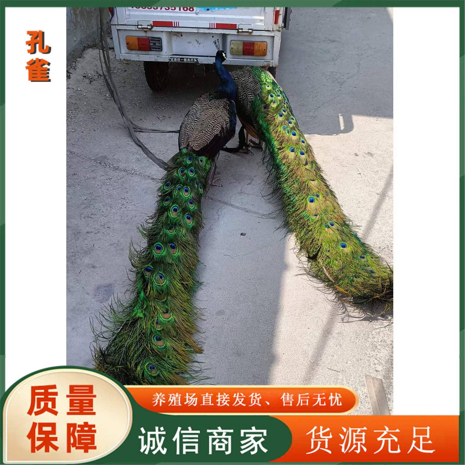 da9cf8caa9b197658189fd73cee7f9