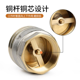 源头工厂定制logo 立式黄铜弹簧止回阀 银色水管止逆阀门加厚